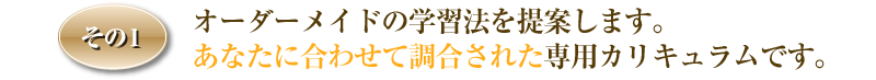 ���Ȃ��ɍ��킹�Ē������ꂽ��p�J���L�������ł��B