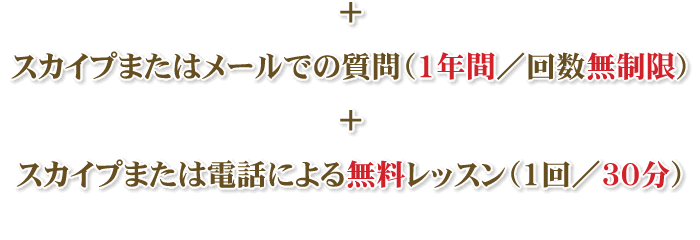 メールで質問/スカイプでレッスン